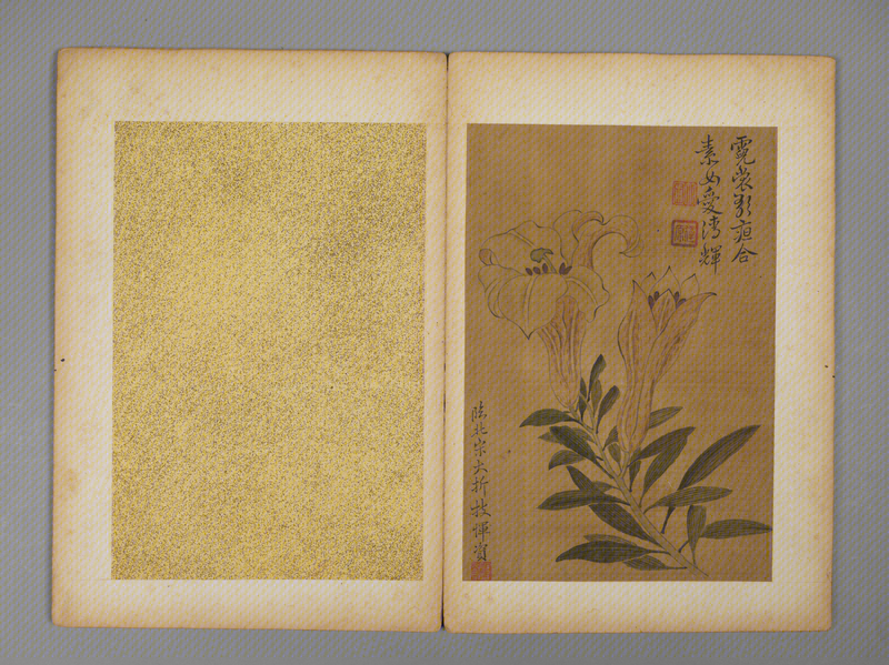 Yun Zi flower album, The Palace Museum