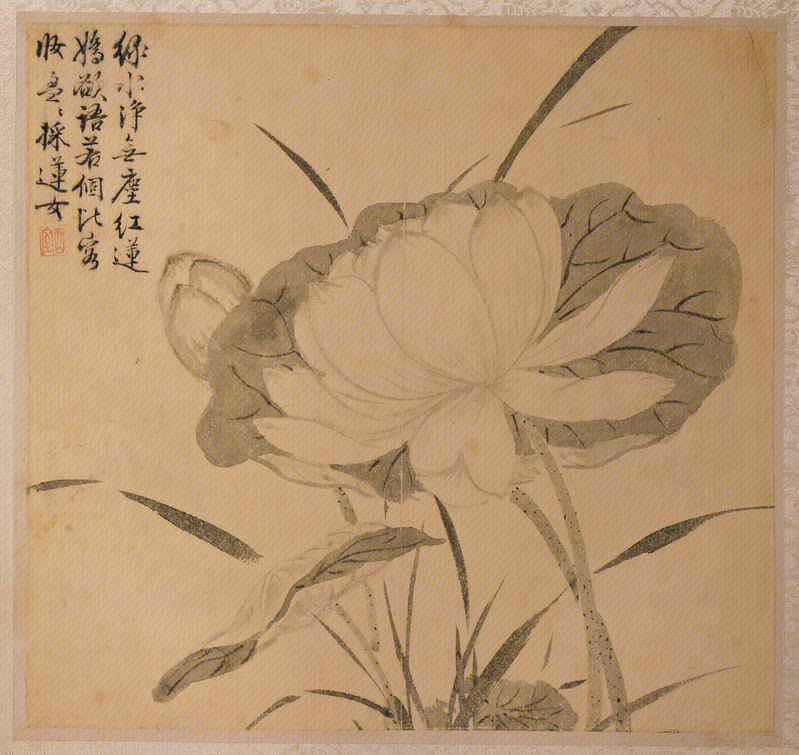 Wang Guxiang flower album, The Palace Museum