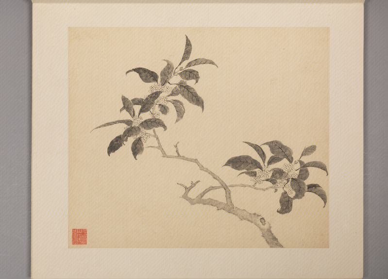 Ling Bizheng's Book of Flowers and Birds, The Palace Museum