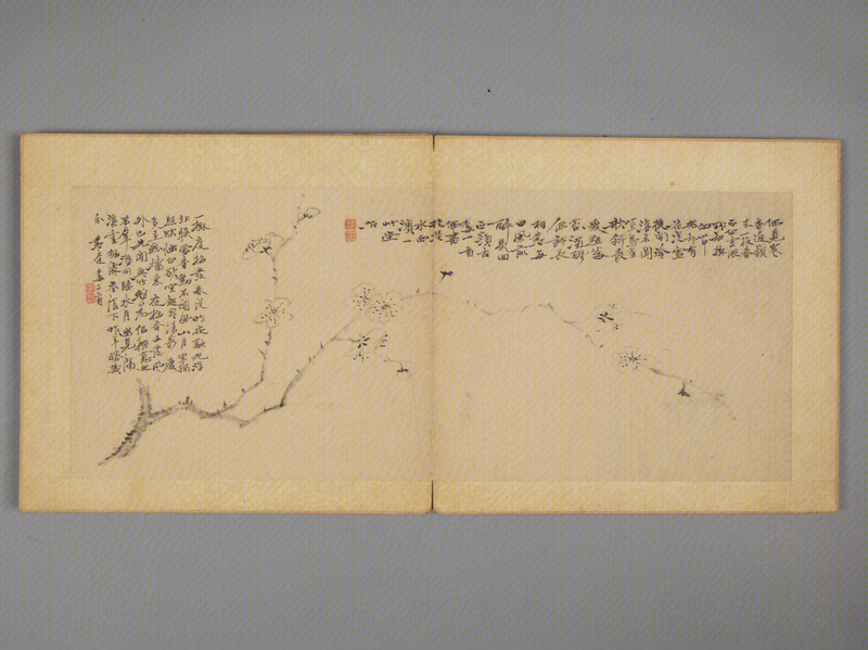 Li Qi's Flowers, Birds and Fruits Album, The Palace Museum