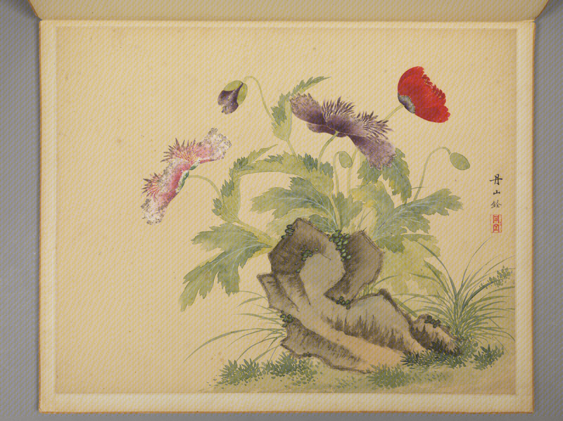 Flowers-and-birds painting album, The Palace Museum