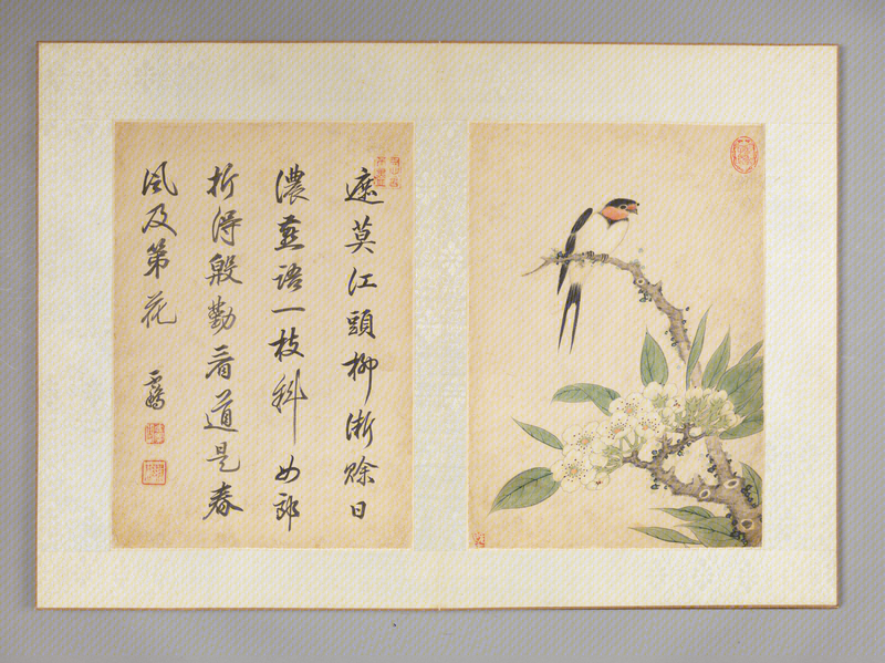 Flowers-and-birds painting album, The Palace Museum