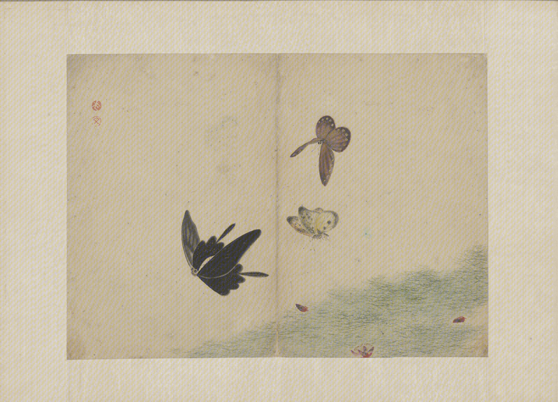Li Wen Fish and Butterfly Picture Album, The Palace Museum