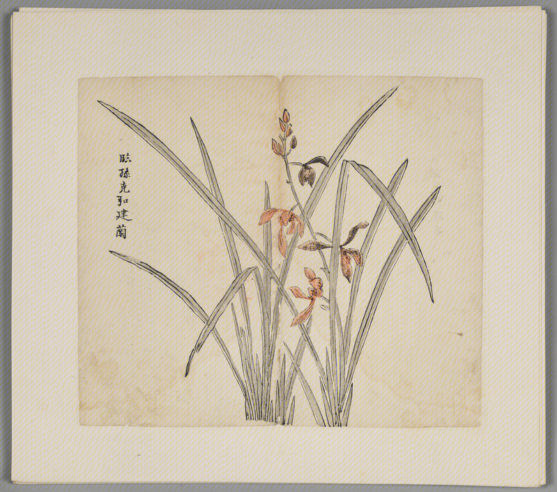 Ink album, The Palace Museum