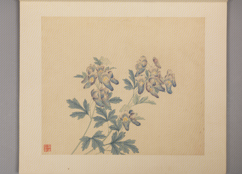 Ling Bizheng's Book of Flowers and Birds, The Palace Museum