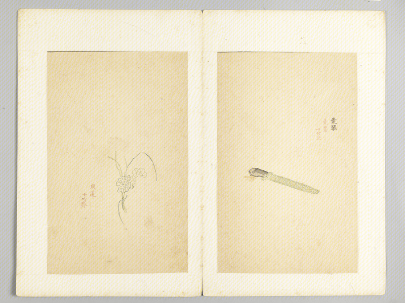 Woodblock watermark Shizhuzhai five-color paper music album, The Palace Museum