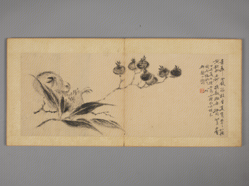 Li Qi's Flowers, Birds and Fruits Album, The Palace Museum