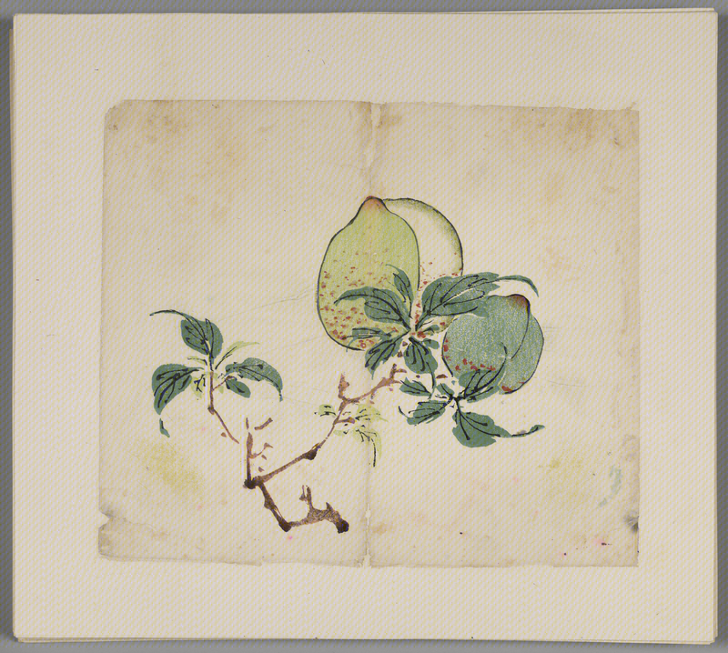 Ink album, The Palace Museum